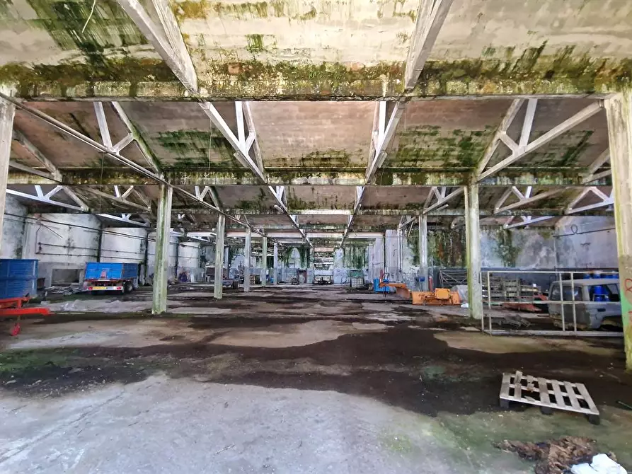 negozio in vendita a Galliate