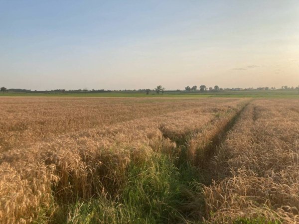 terreno edificabile in vendita a Garbagna Novarese