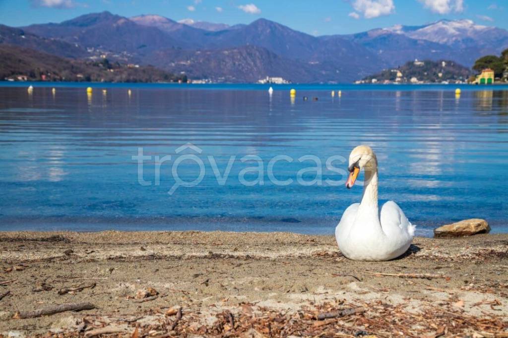 appartamento in vendita a Gozzano