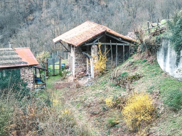 casa indipendente in vendita a Grignasco
