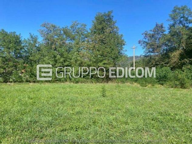 terreno agricolo in vendita a Grignasco