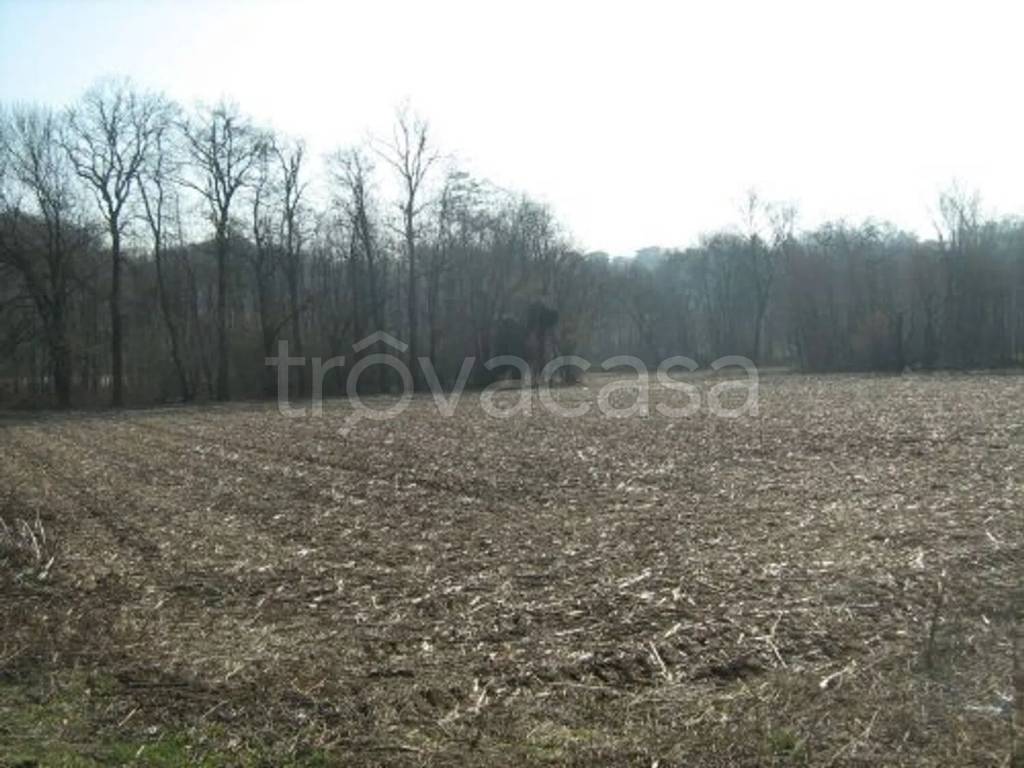 terreno edificabile in vendita ad Invorio