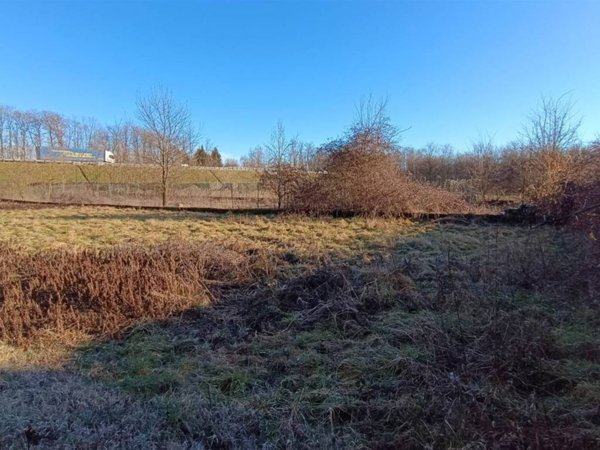 terreno agricolo in vendita ad Invorio in zona Barquedo