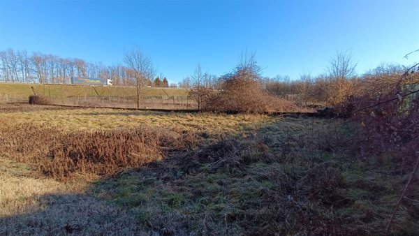 terreno agricolo in vendita ad Invorio in zona Talonno