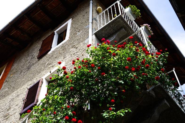 casa indipendente in vendita a Lesa