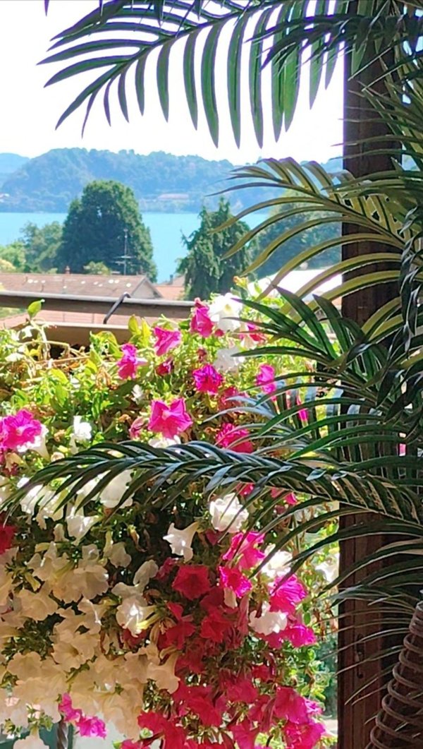 appartamento in vendita a Lesa