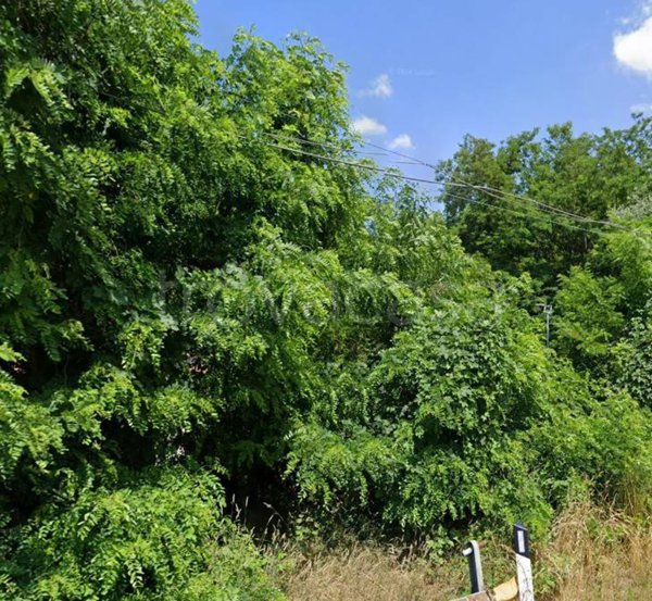 ufficio in vendita a Meina