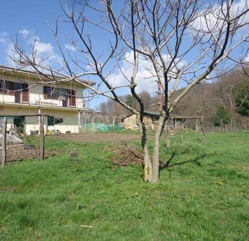 casa indipendente in vendita a Miasino