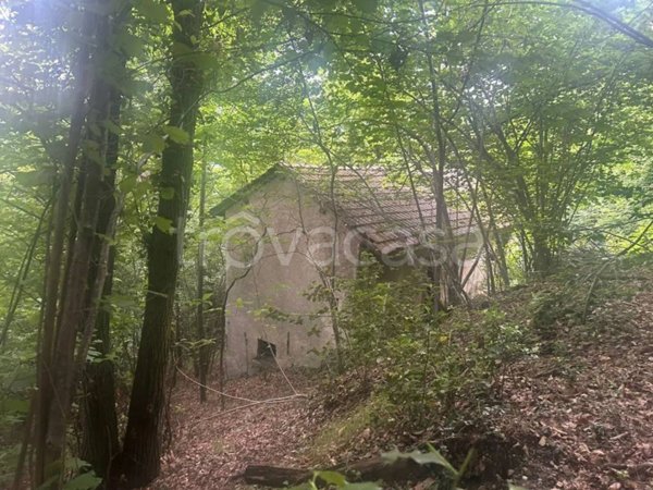 casa indipendente in vendita a Miasino