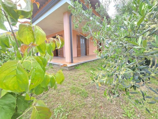 casa indipendente in vendita a Momo