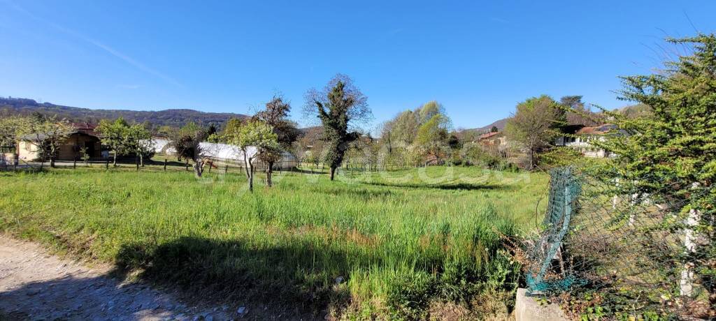 terreno agricolo in vendita a Nebbiuno