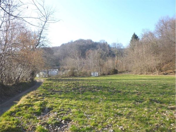 terreno agricolo in vendita a Nebbiuno in zona Fosseno
