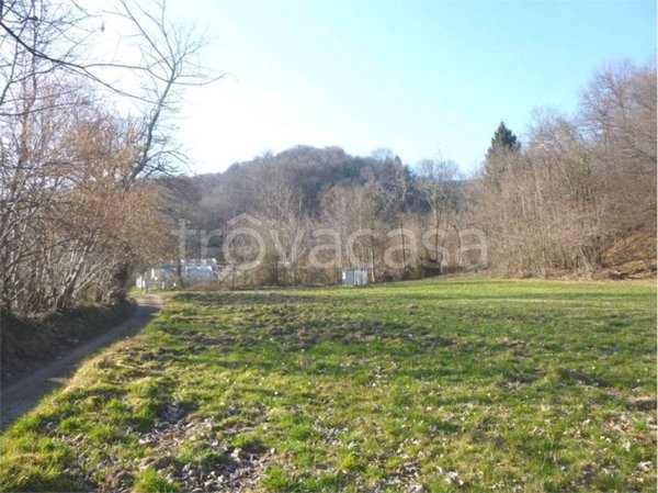 terreno agricolo in vendita a Nebbiuno in zona Fosseno