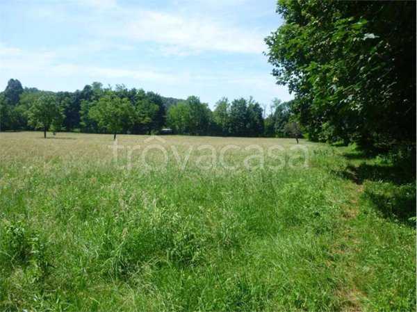 terreno agricolo in vendita a Nebbiuno in zona Fosseno