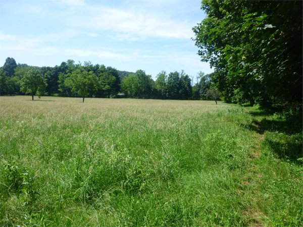 terreno agricolo in vendita a Nebbiuno in zona Fosseno