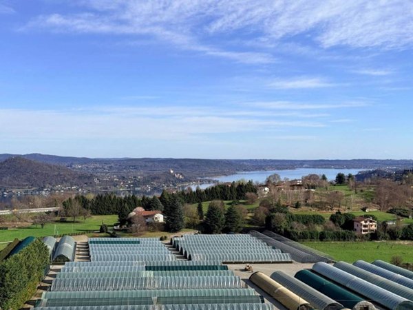 appartamento in vendita a Nebbiuno