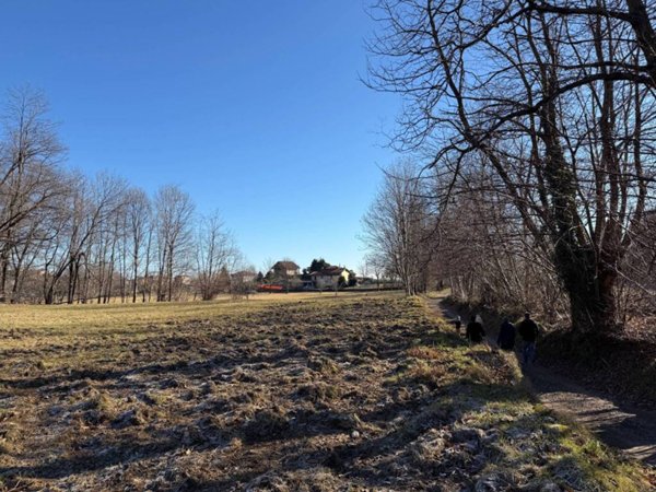 terreno agricolo in vendita a Nebbiuno in zona Fosseno