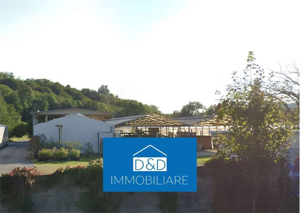 locale commerciale in vendita a Nebbiuno