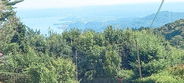 appartamento in vendita a Nebbiuno