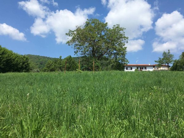 terreno edificabile in vendita a Nebbiuno in zona Tapigliano