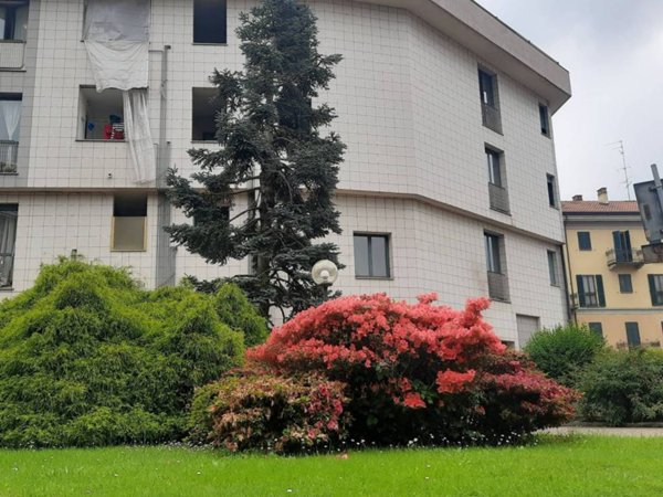 appartamento in vendita a Novara