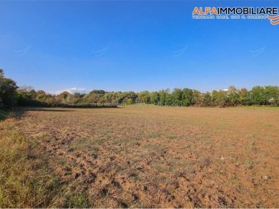 terreno agricolo in vendita a Novara in zona zona Bicocca