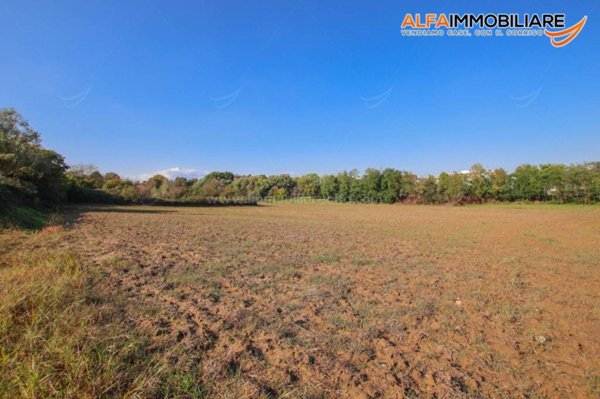 terreno agricolo in vendita a Novara in zona zona Bicocca