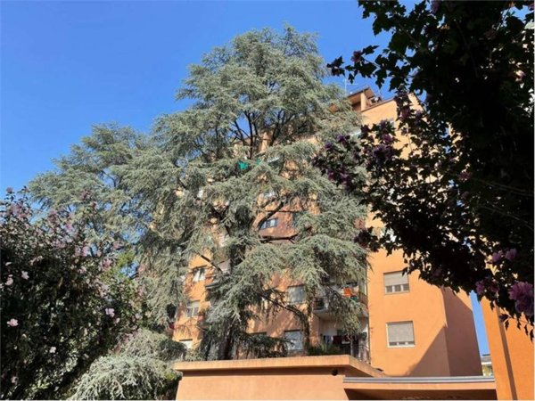 appartamento in vendita a Novara in zona zona Porta Mortara