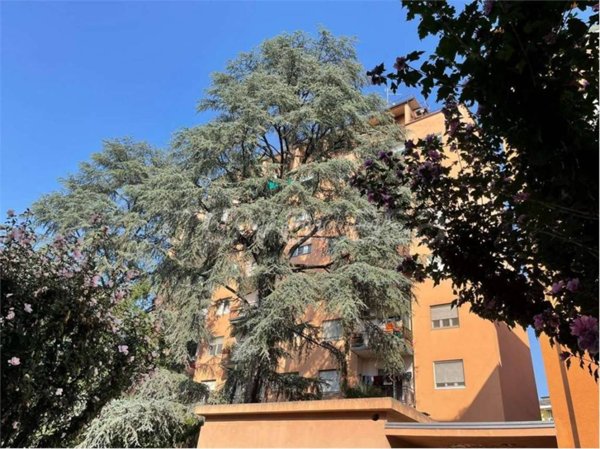 appartamento in vendita a Novara in zona zona Porta Mortara