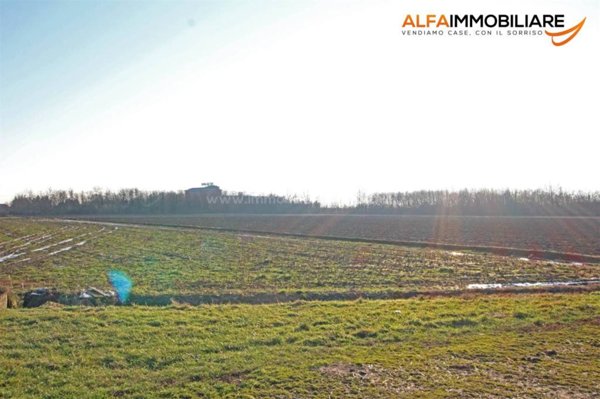 terreno agricolo in vendita a Novara in zona Vignale