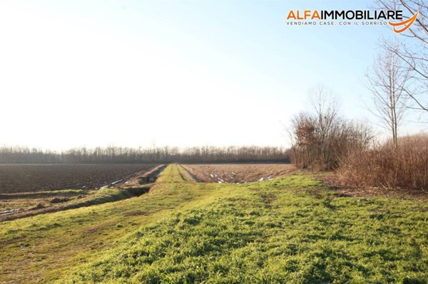 terreno agricolo in vendita a Novara in zona Vignale