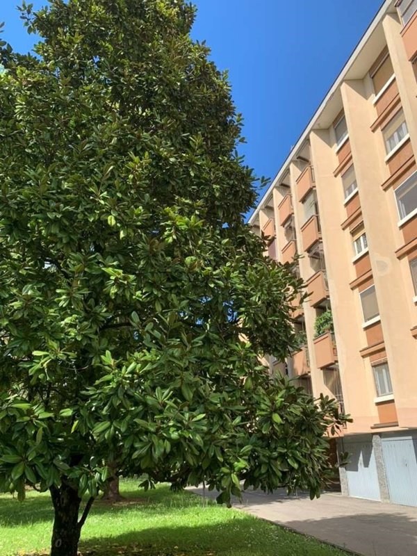 appartamento in vendita a Novara in zona Veveri