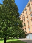 appartamento in vendita a Novara in zona zona Sant'Andrea - San Rocco
