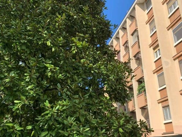 appartamento in vendita a Novara in zona zona Sant'Andrea - San Rocco