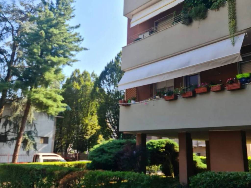 appartamento in vendita a Novara in zona zona Agogna - San Paolo