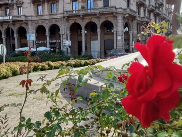 negozio in vendita a Novara in zona Centro Città