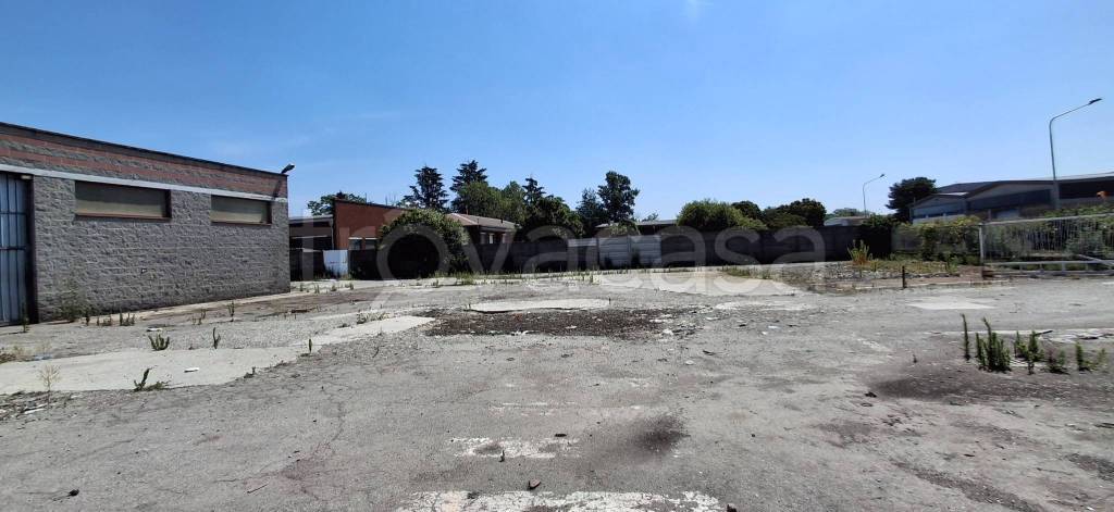 terreno agricolo in vendita a Novara in zona Zona Santa Rita