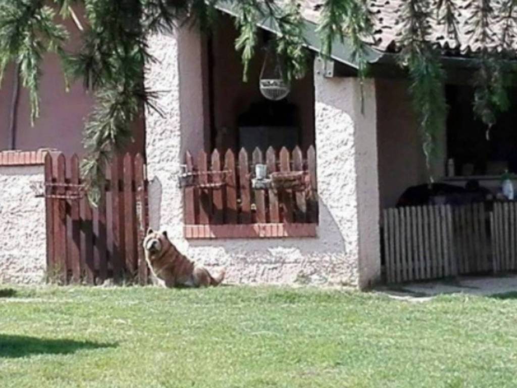 casa indipendente a Novara in zona zona Cittadella - Villaggio Dalmazia