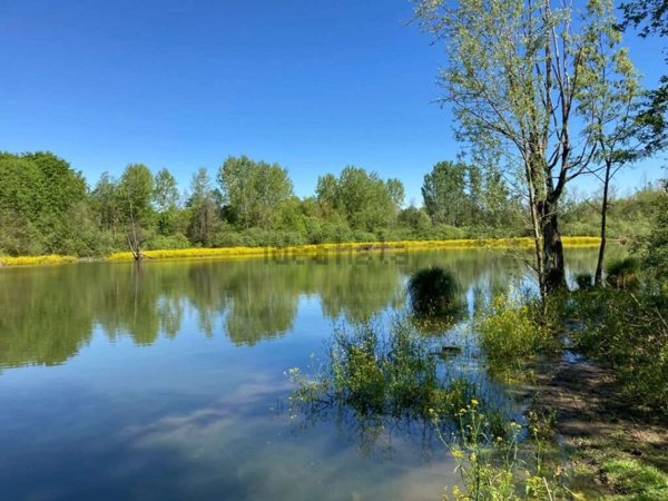appartamento in vendita a Novara in zona Centro Città