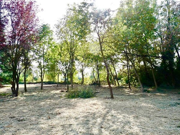 terreno in vendita a Novara in zona Zona Santa Rita