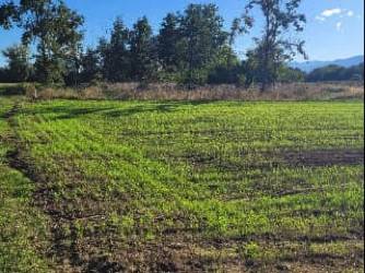 terreno agricolo in vendita ad Oleggio
