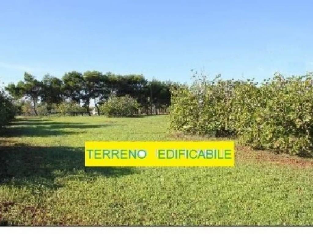 terreno edificabile in vendita ad Oleggio