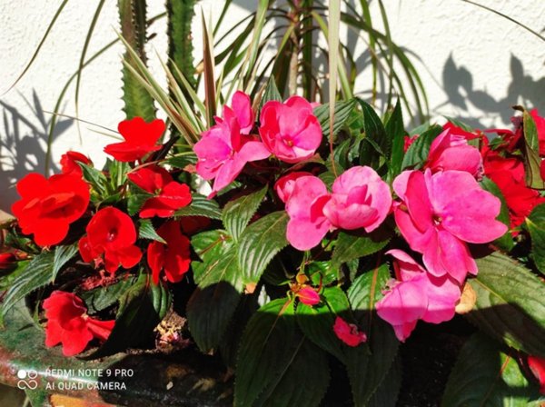 casa indipendente in vendita ad Oleggio in zona Loreto