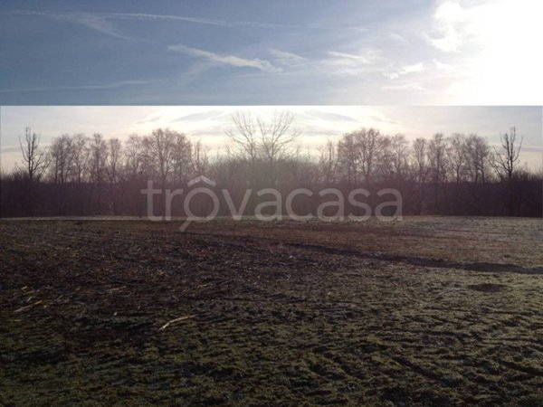 negozio in vendita ad Oleggio