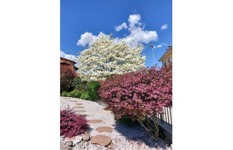 casa indipendente in vendita ad Oleggio