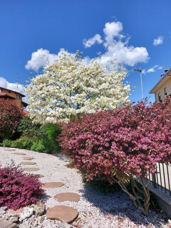 casa indipendente in vendita ad Oleggio