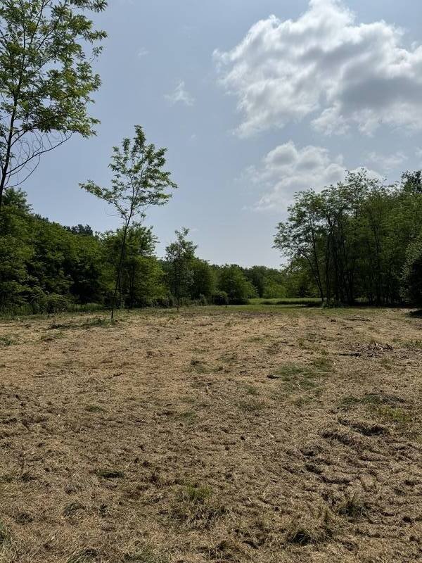 terreno agricolo in vendita ad Oleggio Castello