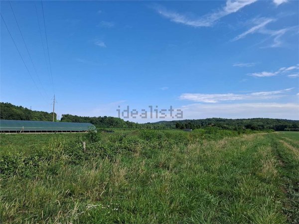 terreno agricolo in vendita ad Oleggio Castello