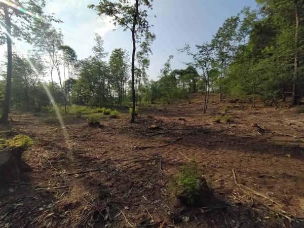 terreno agricolo in vendita a Paruzzaro