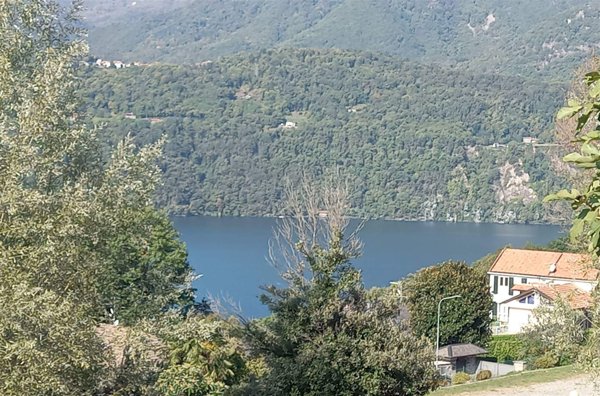 negozio in vendita a Pettenasco